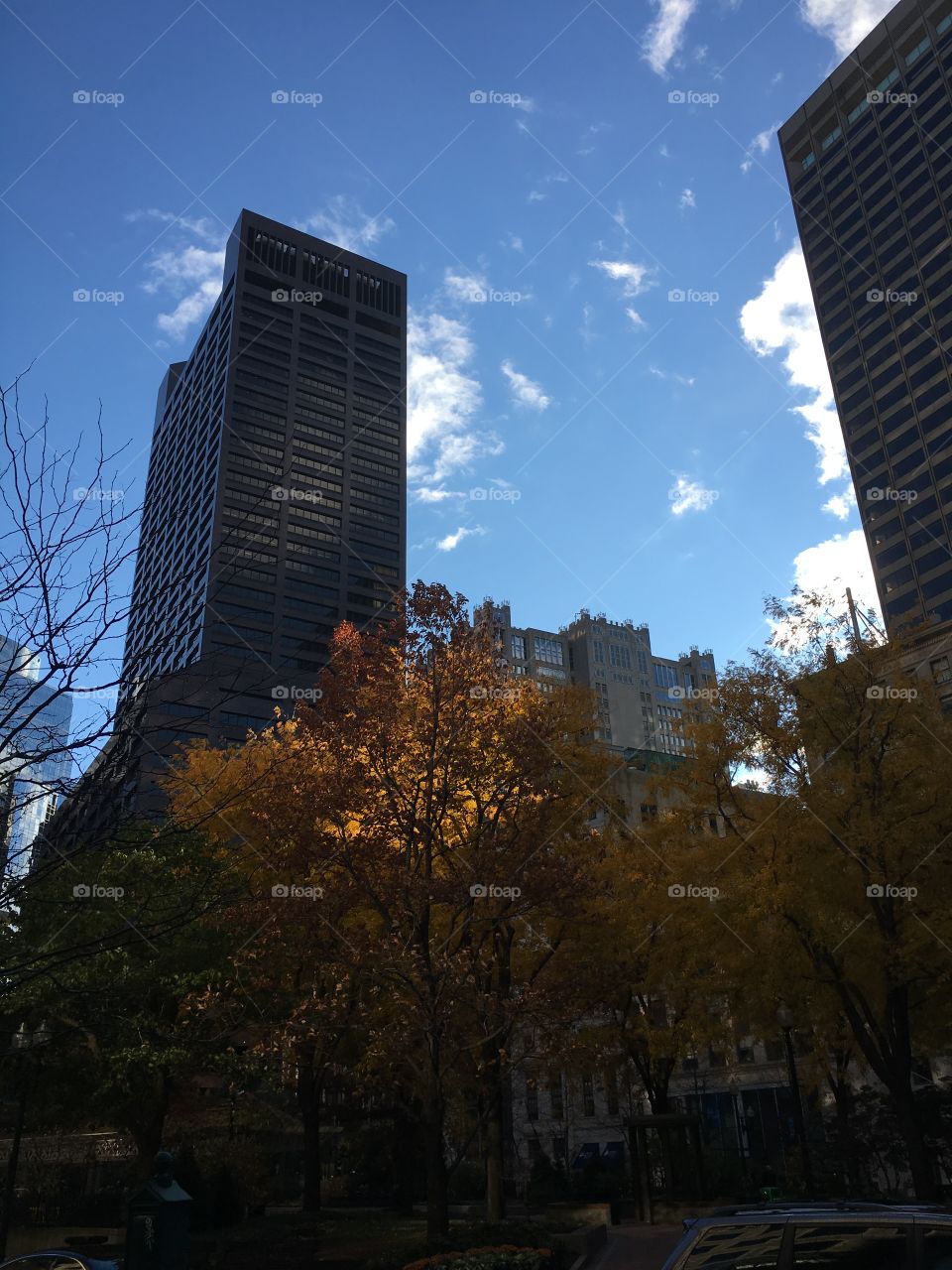 Boston in the evening light