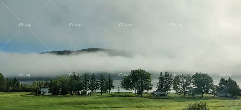 Morning walk