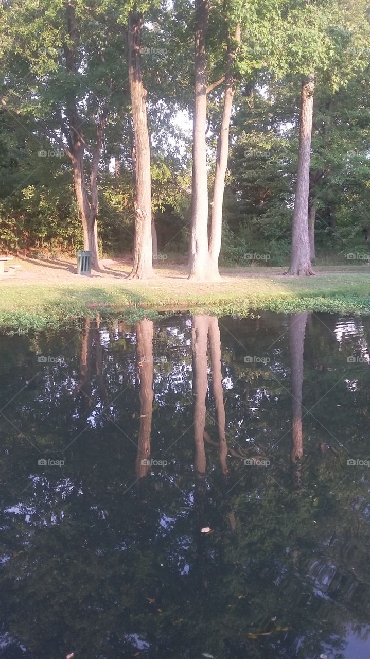 reflection