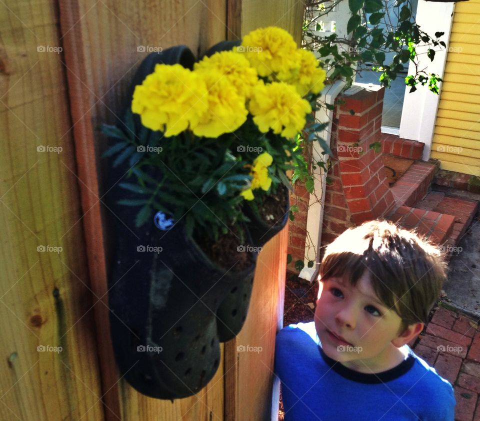 Yellow Flowers In Unique Planter