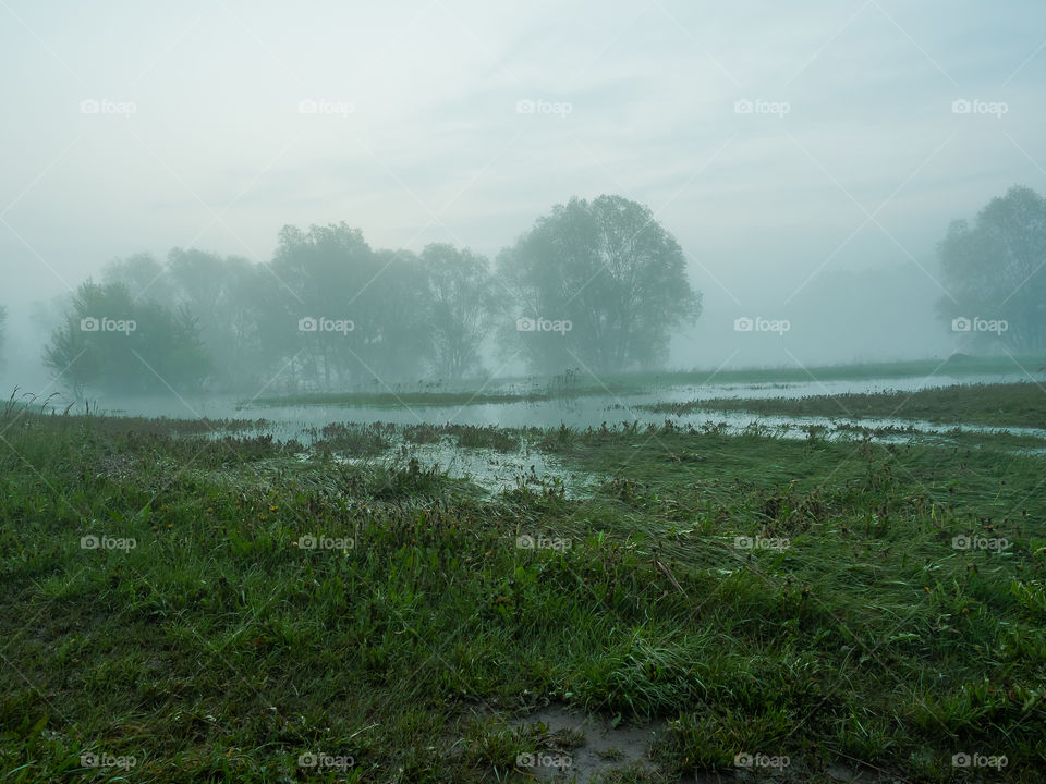 View of foggy day