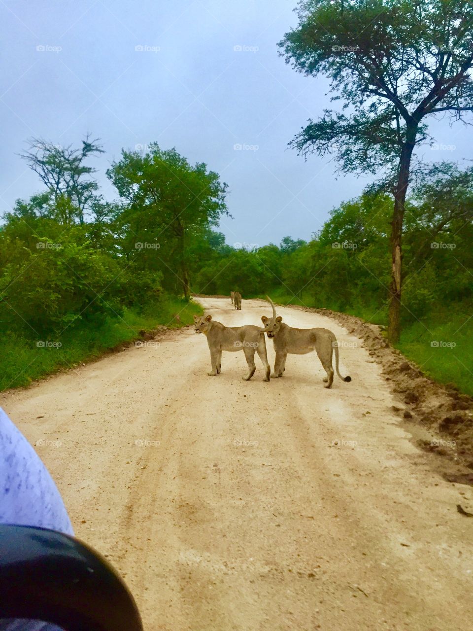 África do Sul 