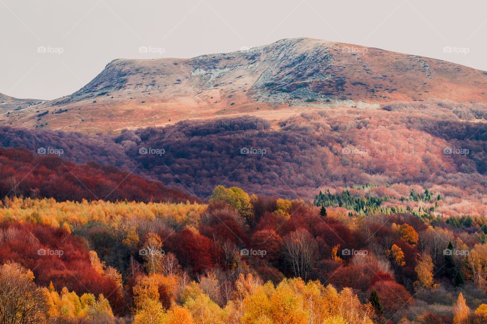 Autumn in The Bieszczady Mountains in Poland. Hillsides coloured with yellow, red, brown. Fall scenery, mountain landscape view from distance