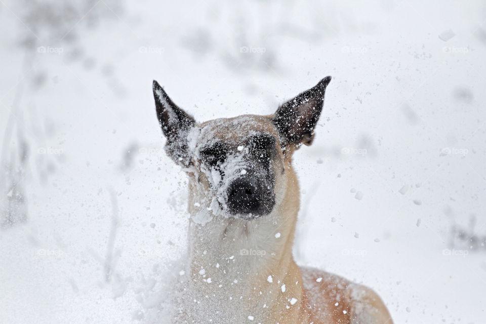 In snow