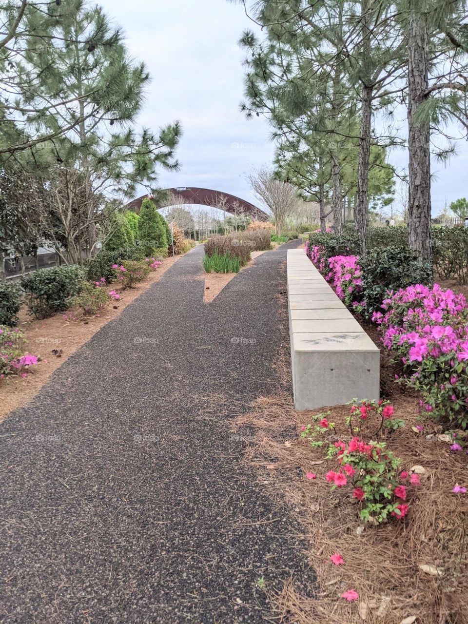 natural plants and pretty bright colored flowers along this walking path in new Orleans by the rainbow bridge