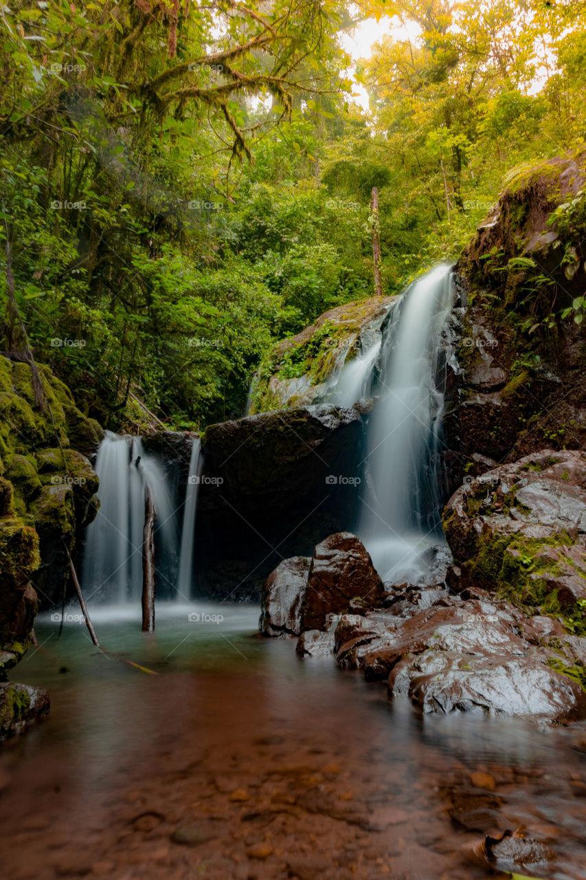 Pure water flowing in a waterfall in the middle of the forest.  Mother Nature at its best