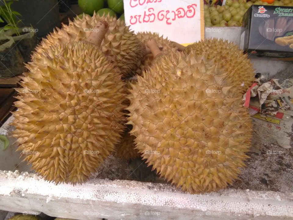 durian