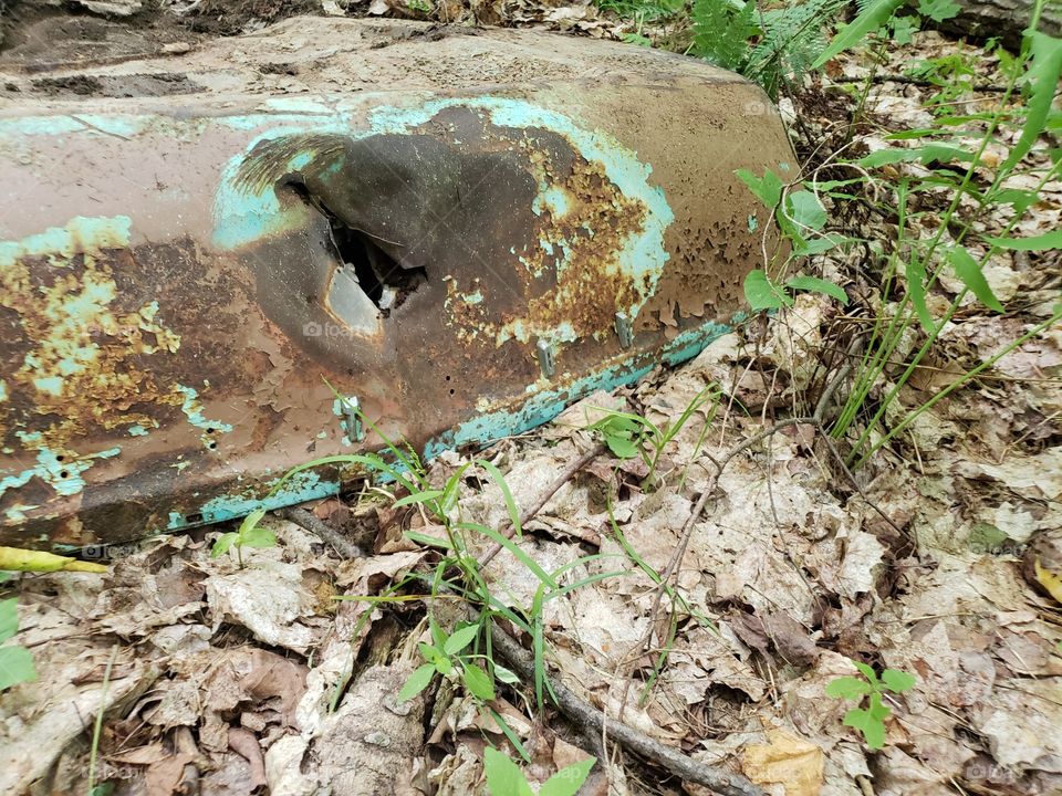 old car hood buried in the forest