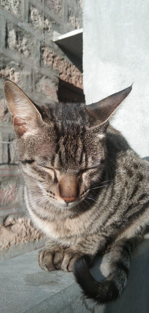 my Lil baby taking sun bath with me