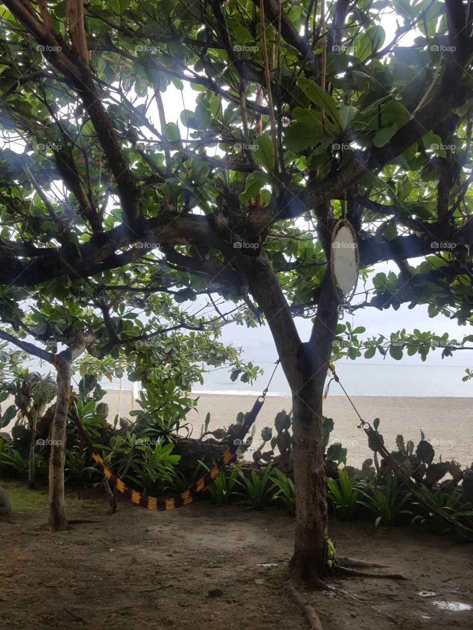 hammock on the beach