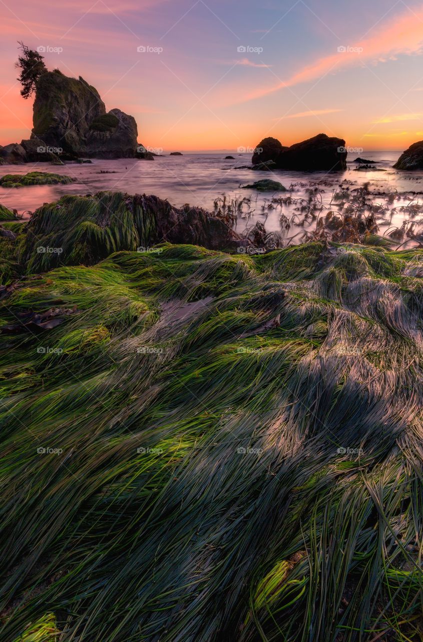 Baker's Beach Sunset