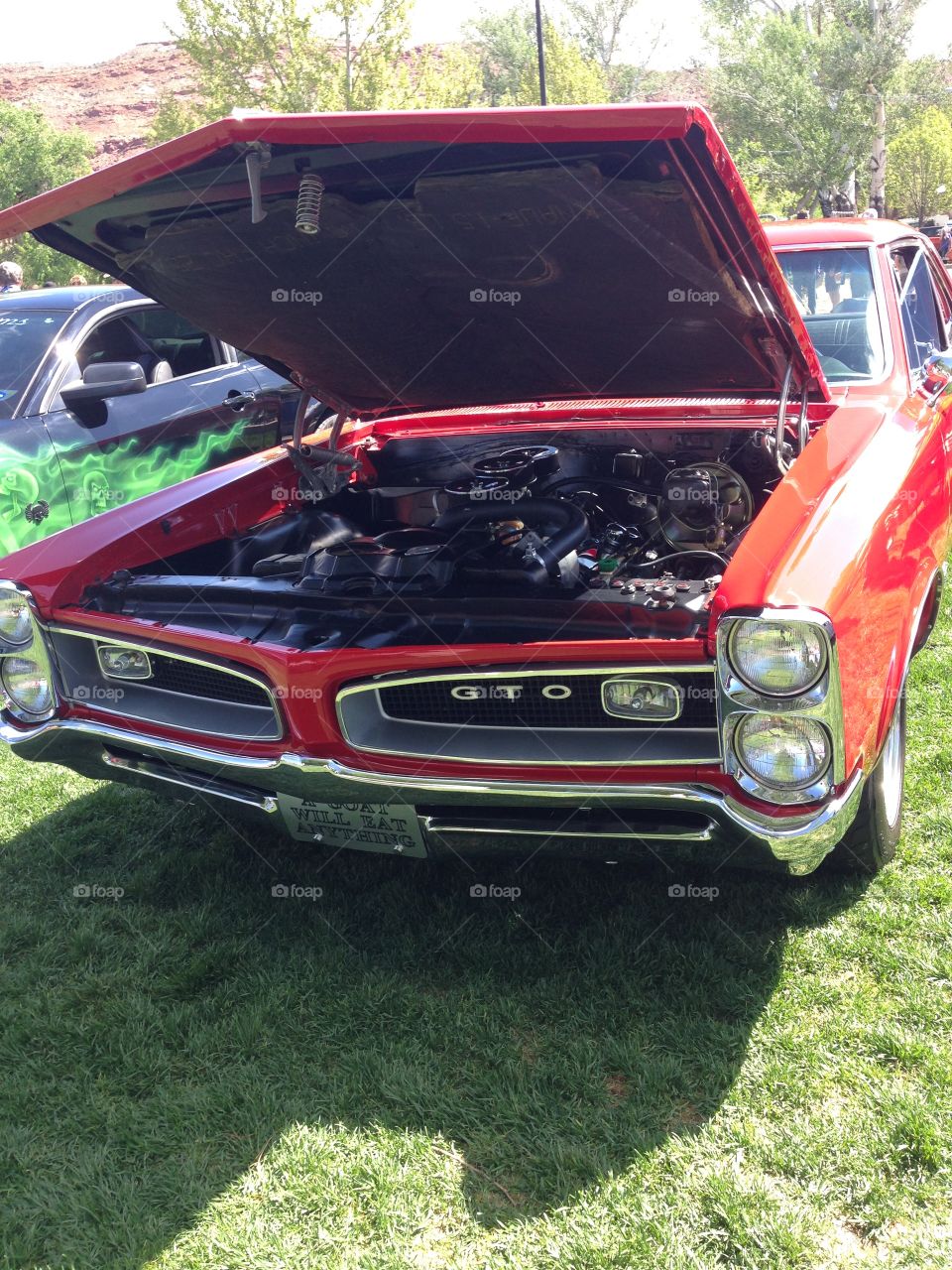 Gto. Display car show