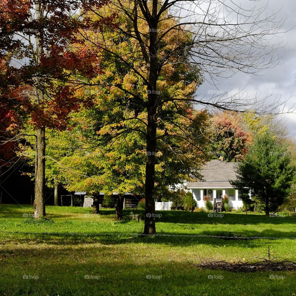 A house in Amish Country 