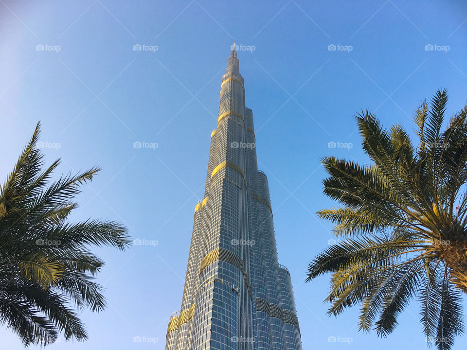Burj Khalifa and palm trees