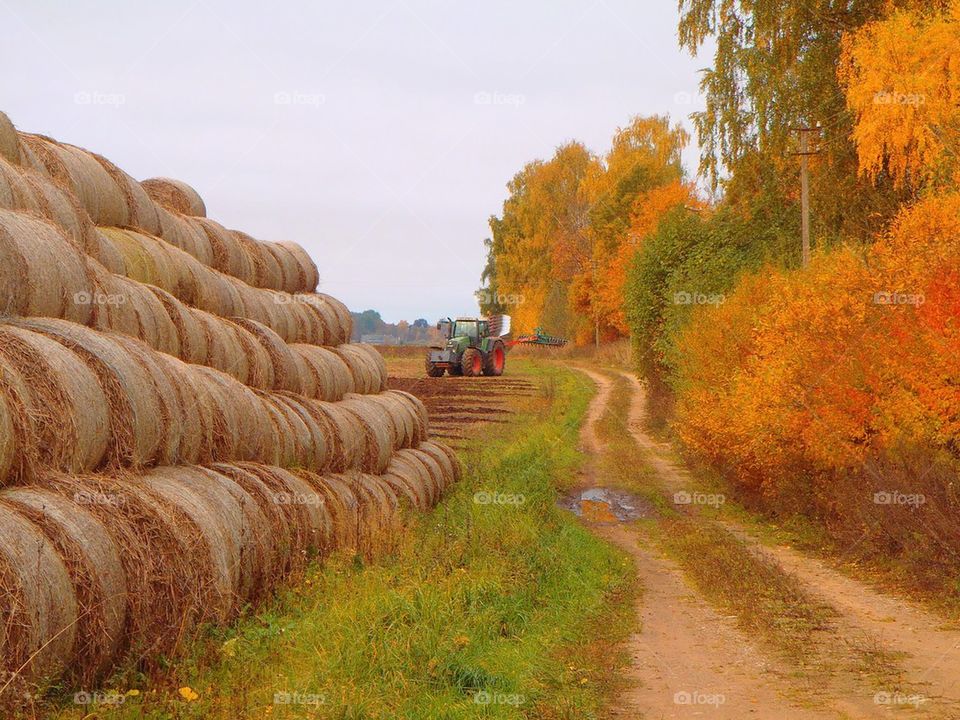 The road I always travel in my dreams