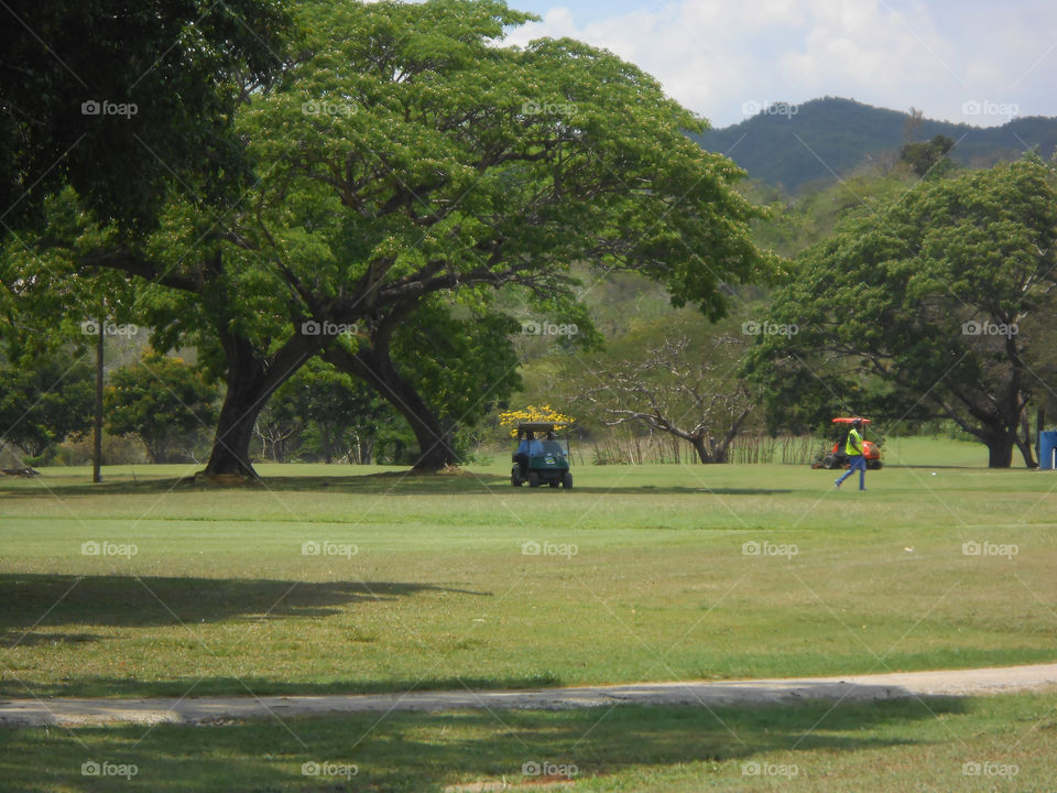 On The Golf Course