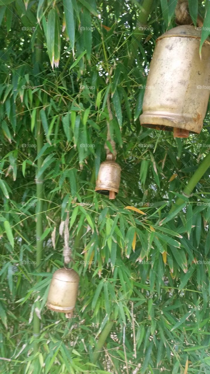 bamboo bells