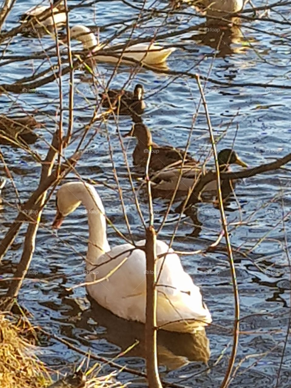 Å beautiful day🌞