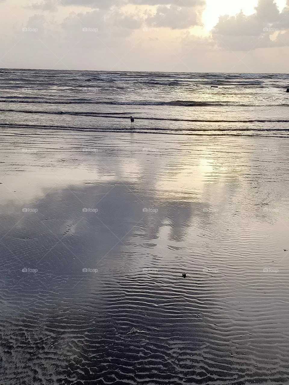 summer peaceful evening