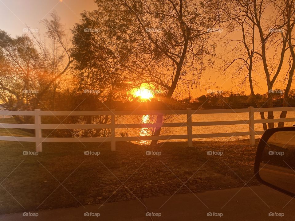 Trees thinning with seasonal changes. Sun’s Rays bouncing off Lake Water with Reflections. 