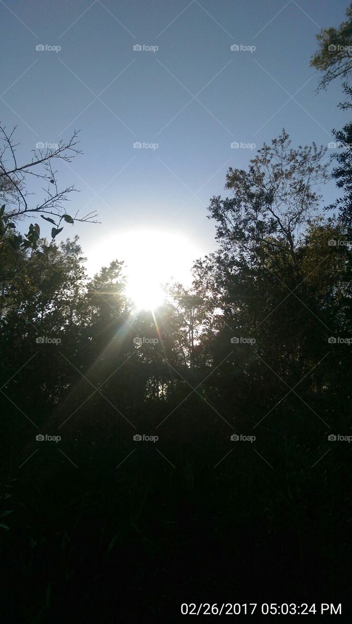 Day At The Sink Hole:)