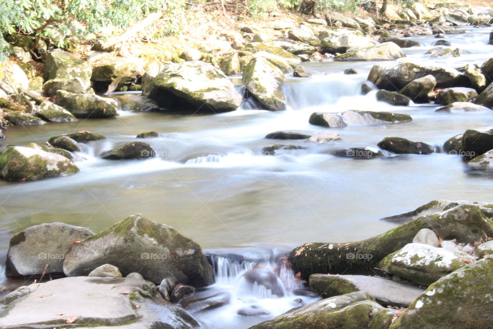 Elkmont stream