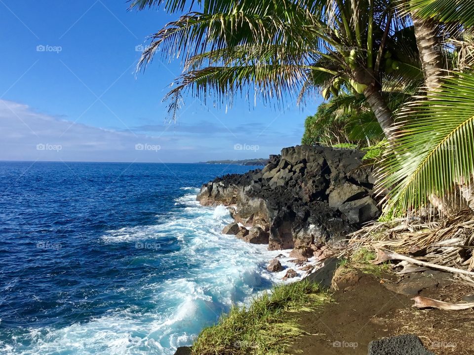 Sunny blue day on the ocean