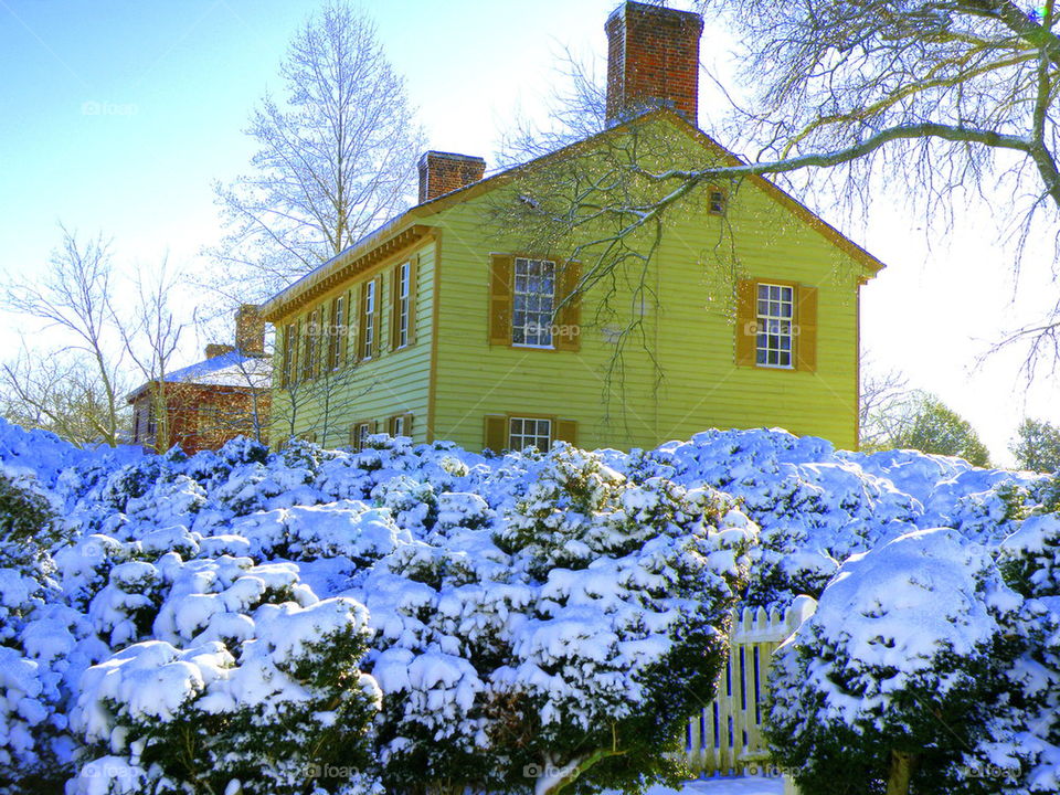 Yellow house