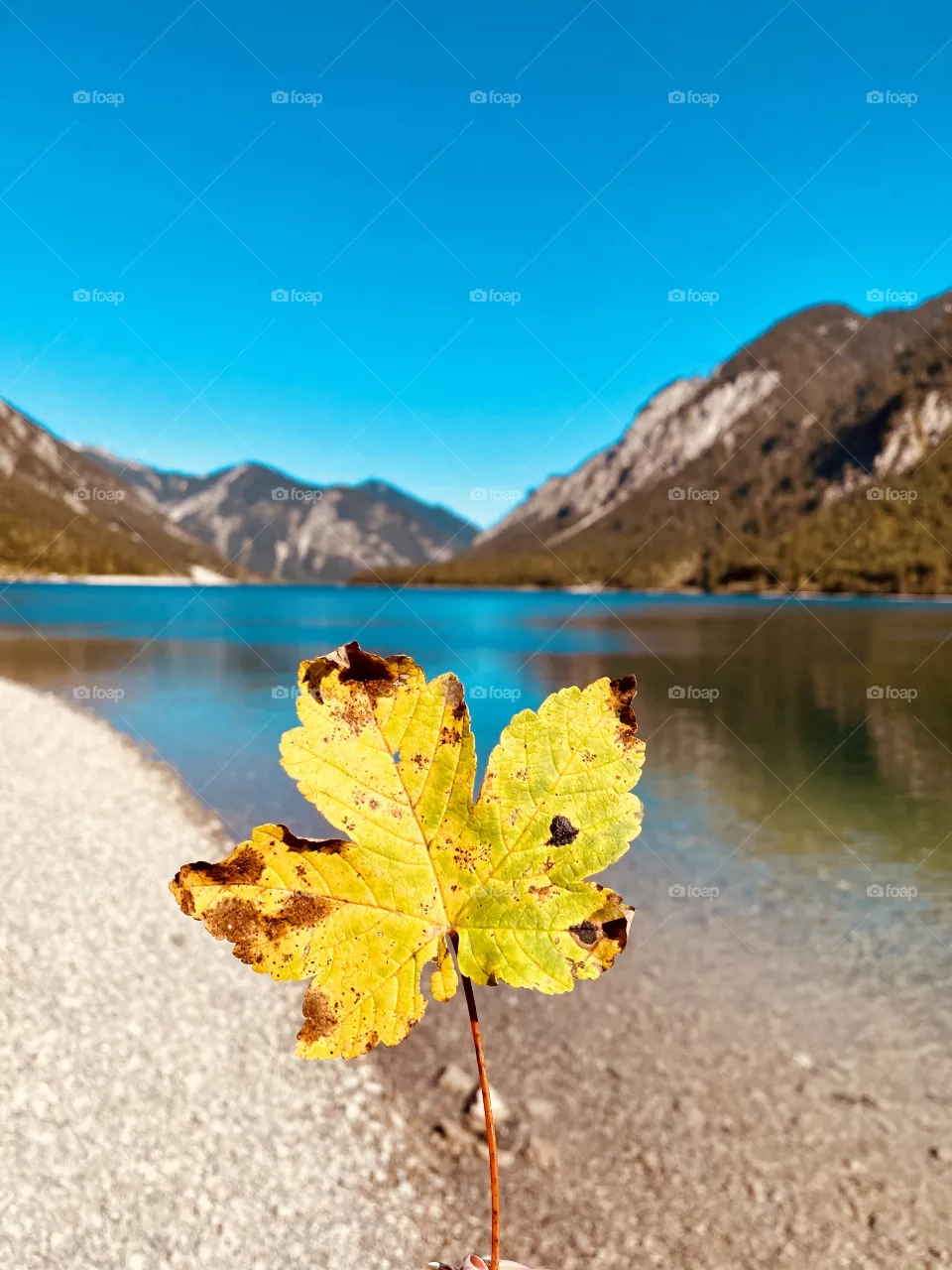 Autumn mood 