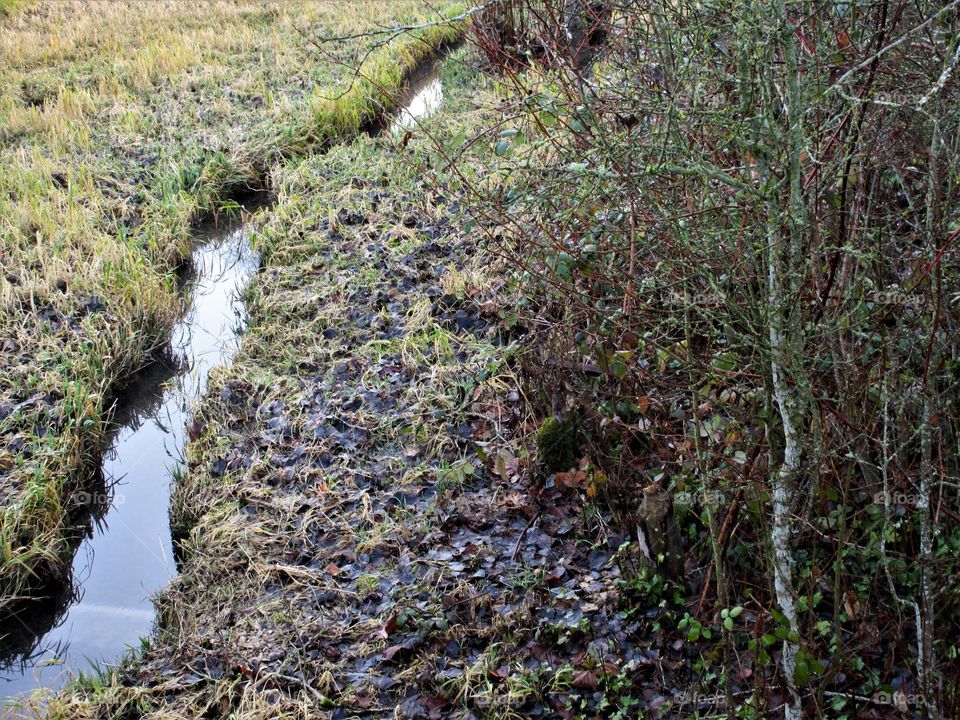 small stream