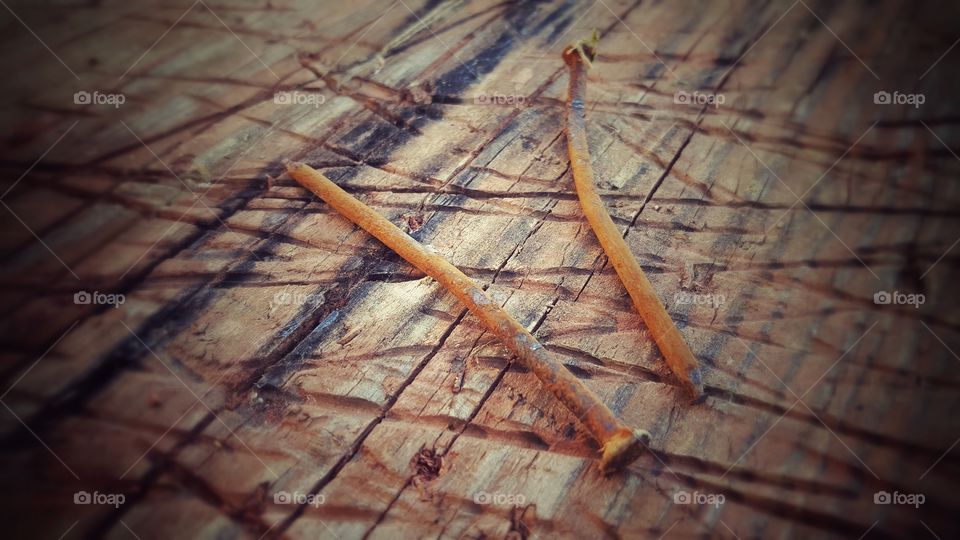 Two rusty nails on the board