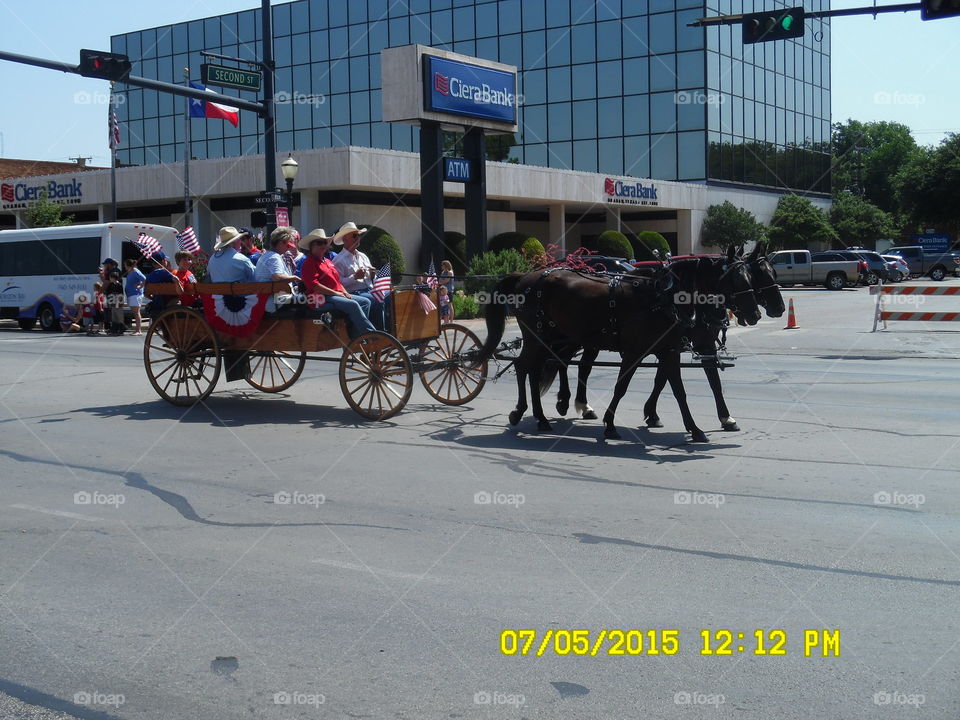 horse π΄ and carriage. This is a picture of a horse π΄ and carriage that rode in the local parade on the fourth of July in Graham Texas