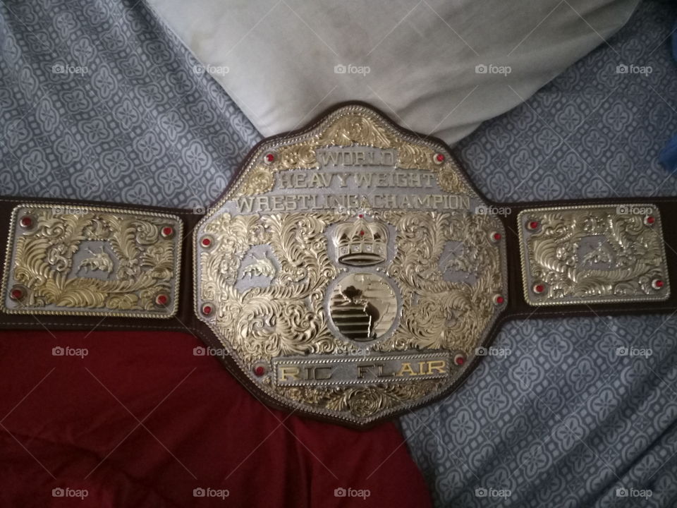 Fandu Replica Big Gold Belt. Ric Flair