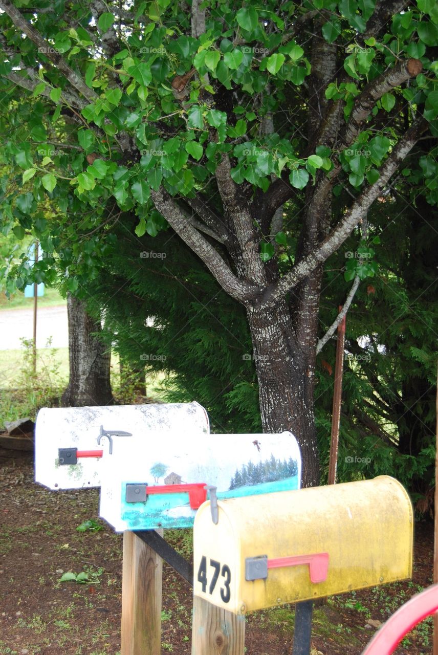 Mail boxes on a country road