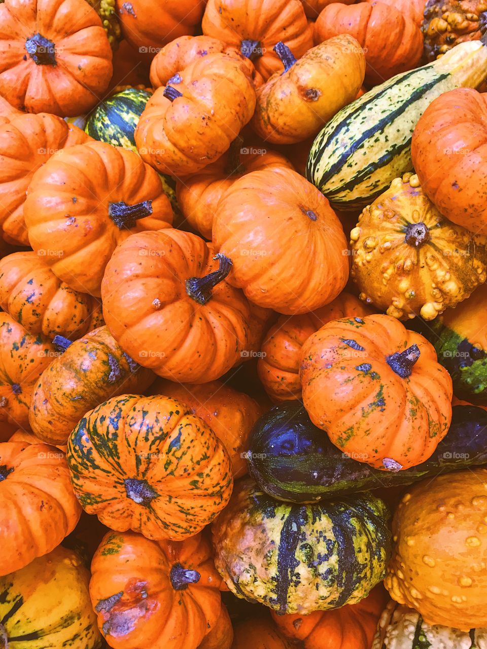 Pumpkins