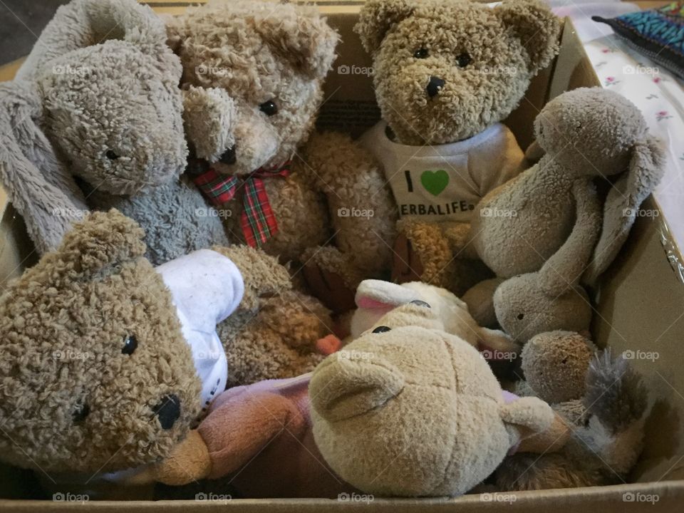 Teddybears in a box