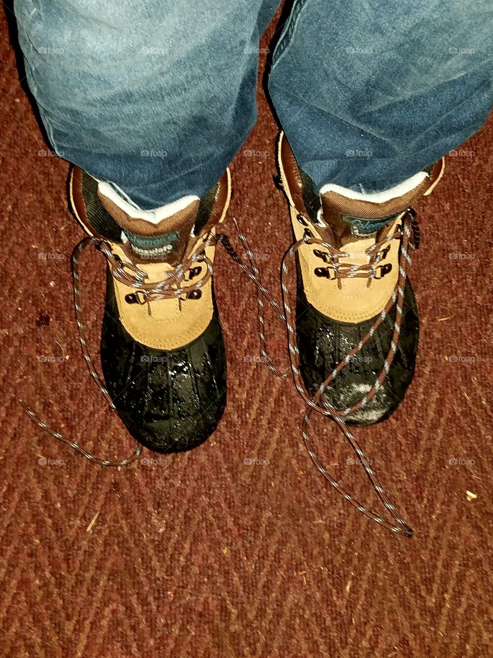 Coleman waterproof boots, untied indoors.