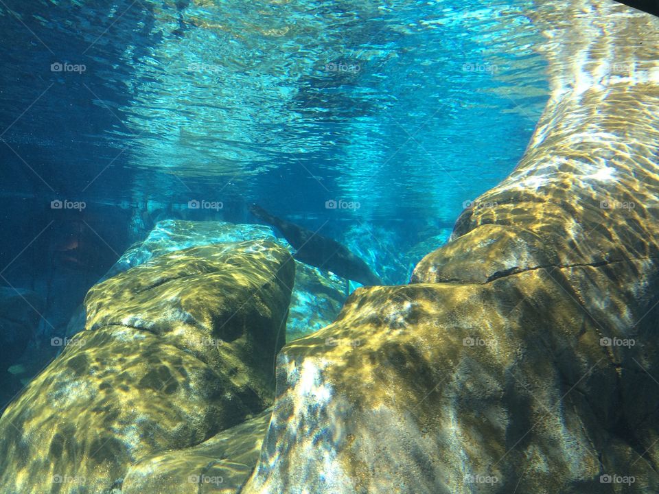 Mossy. Mossy rocks under water