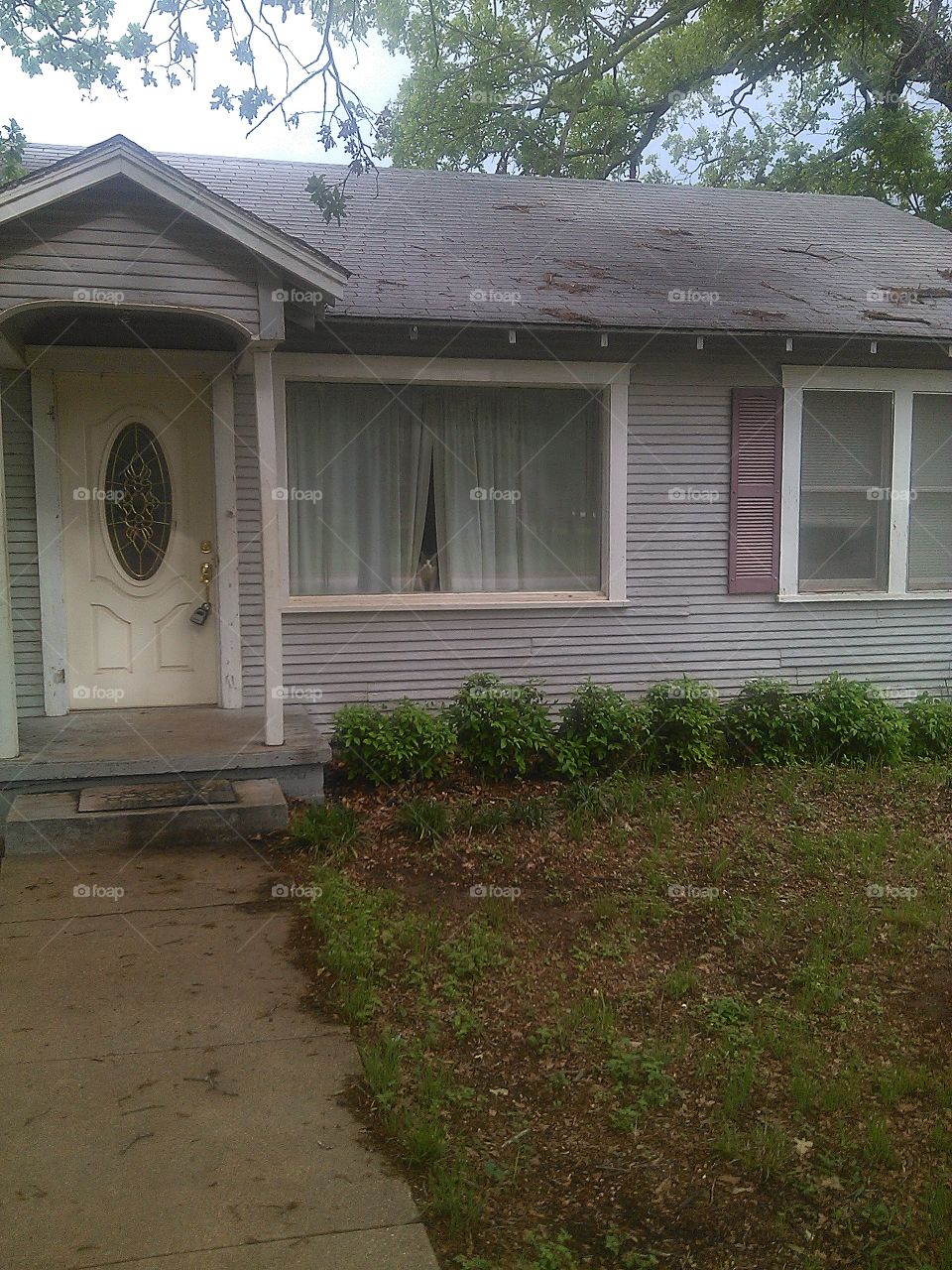 kitty cat peek a boo. i thought someone was watching me