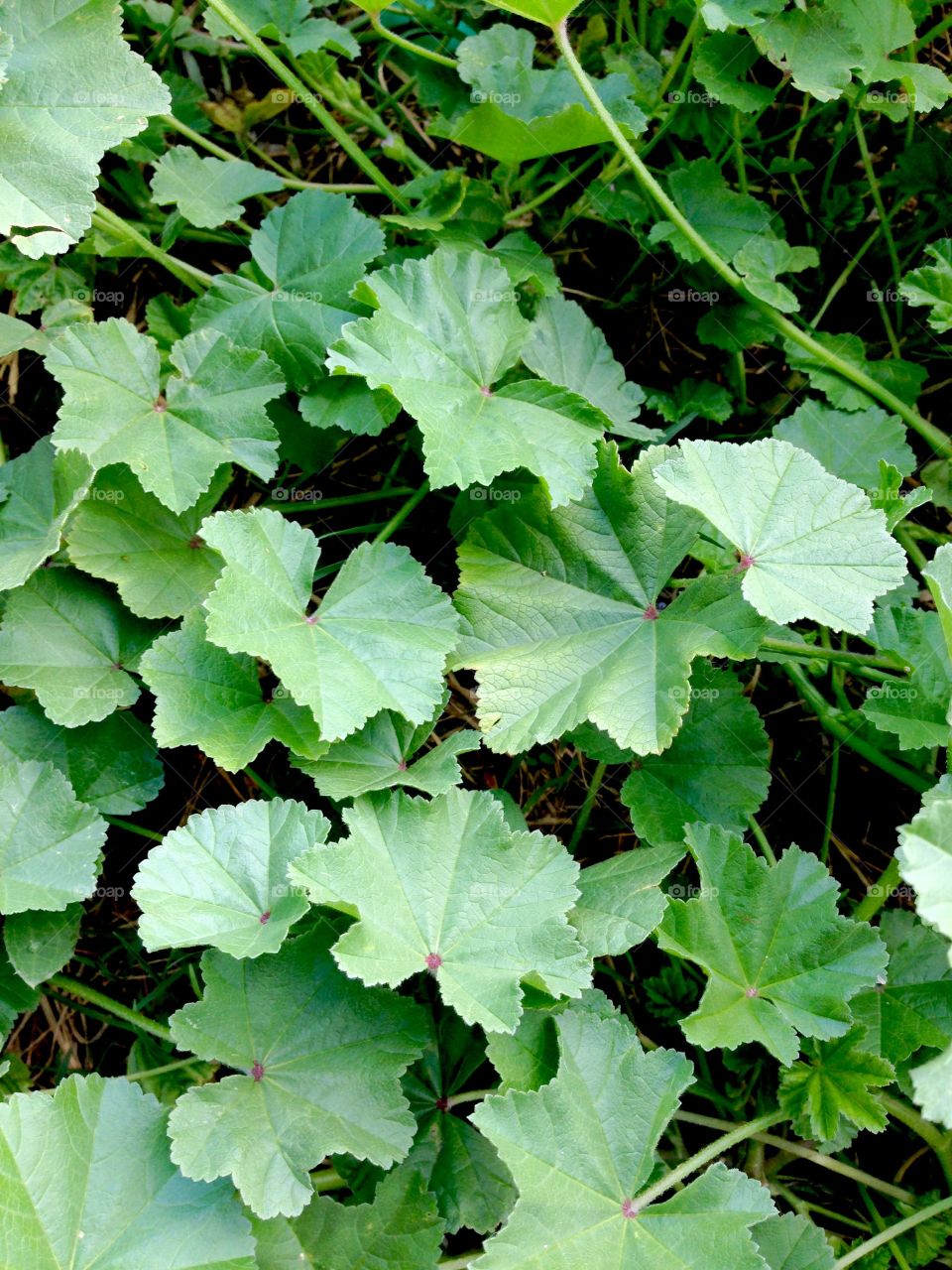 Life doesn't have to be perfect to be wonderful