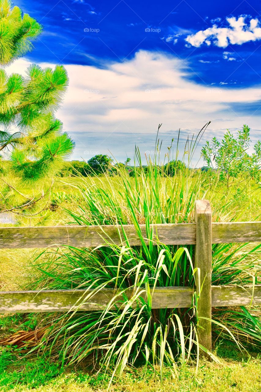 Fence and sky