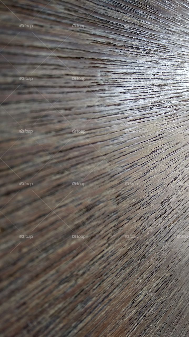 imagine Woods source of light