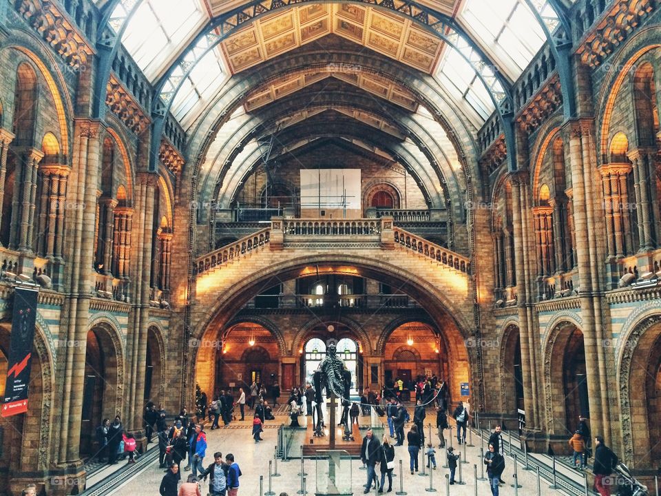 Natural history museum