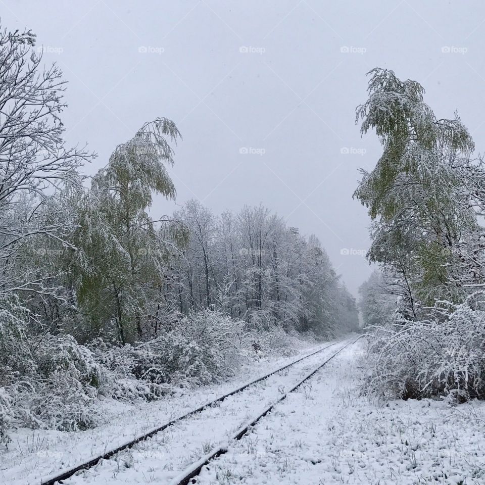 Winter landscape in Germany 