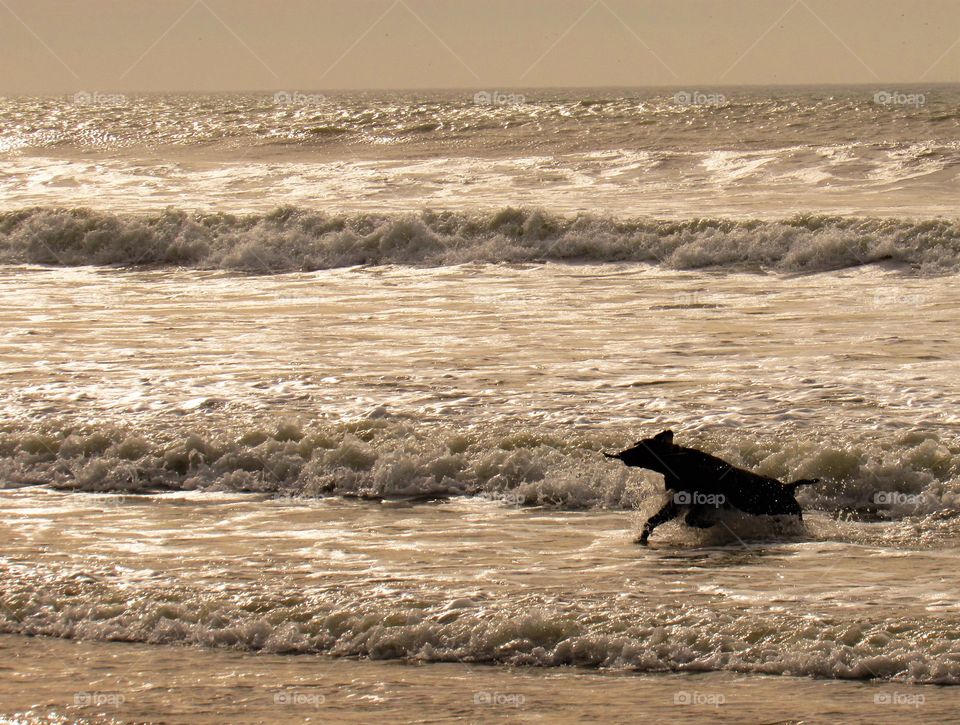 On the beach