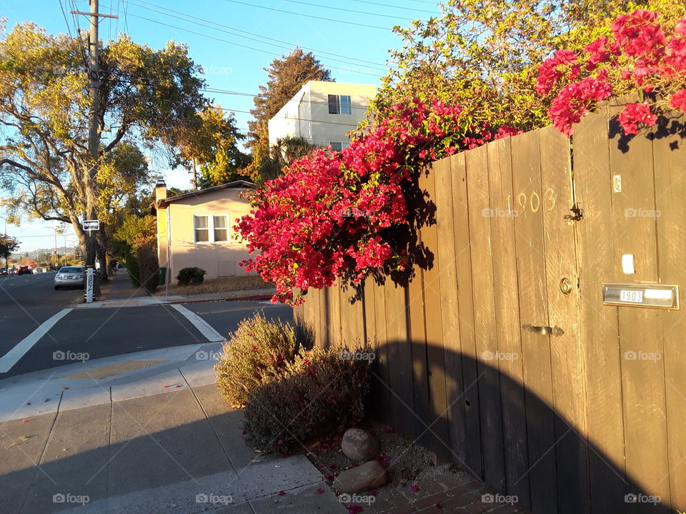 Berkeley California