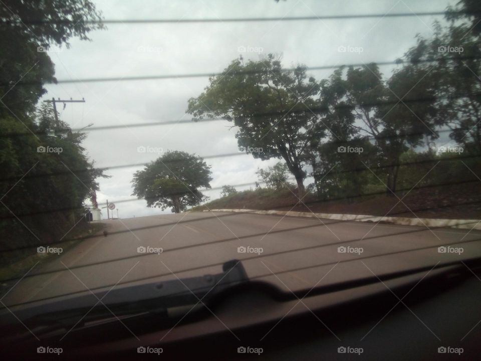 nature through the window of a car