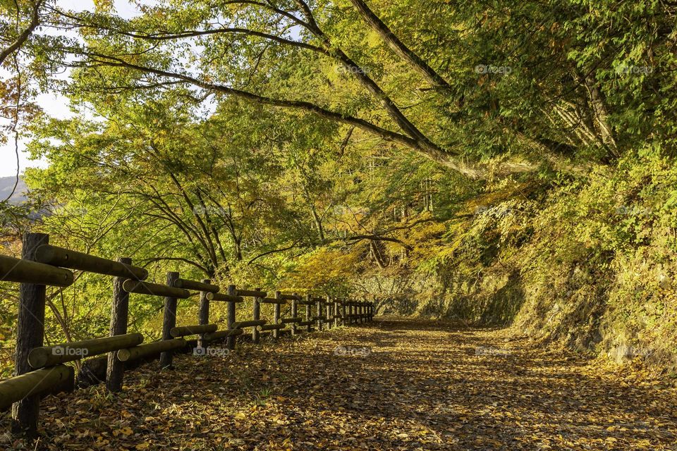 Beautiful mountain scenery