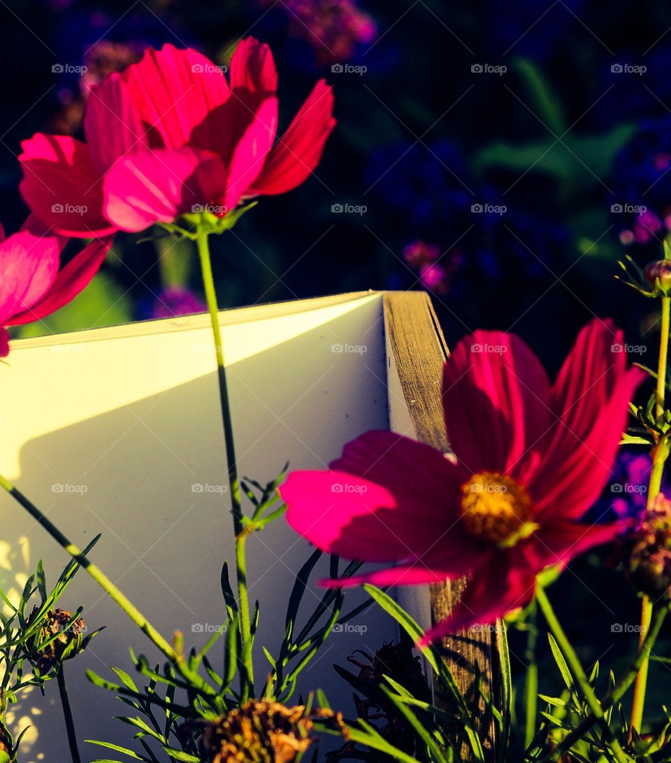 book flowers