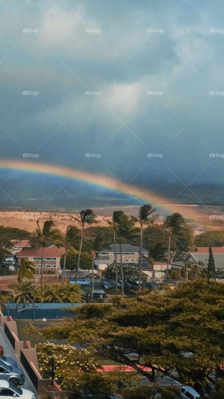 Looking up at the rainbow In Hawaii 